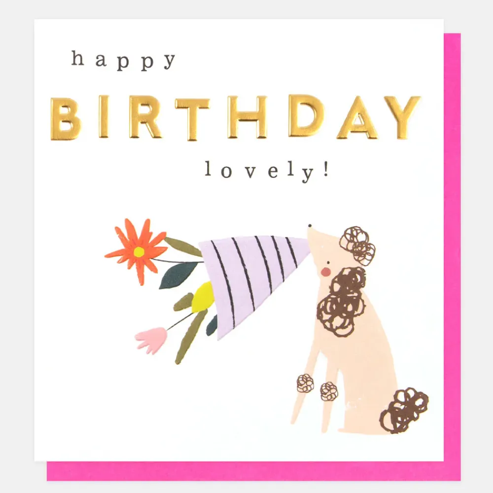 Dog & Flowers Birthday Card>Caroline Gardner Store