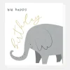 Elephant Birthday Card>Caroline Gardner Clearance