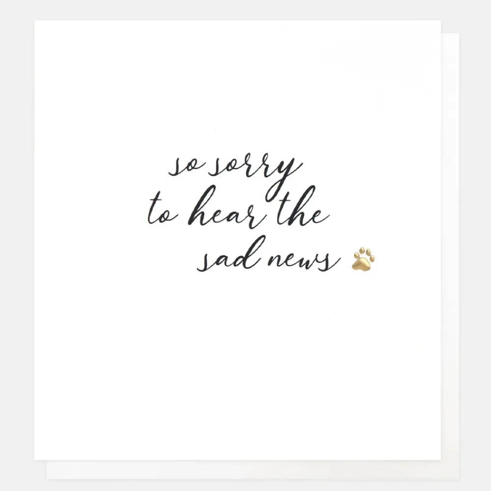 Paw Print Sorry To Hear Sympathy Card>Caroline Gardner Sale