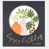 Plants In Vases Birthday Card>Caroline Gardner Sale